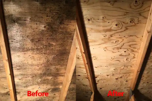 water damage restoration service Bromley
